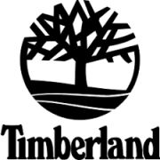 Timberland : chaussure de ville Timberland